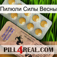 Пилюли Силы Весны 41